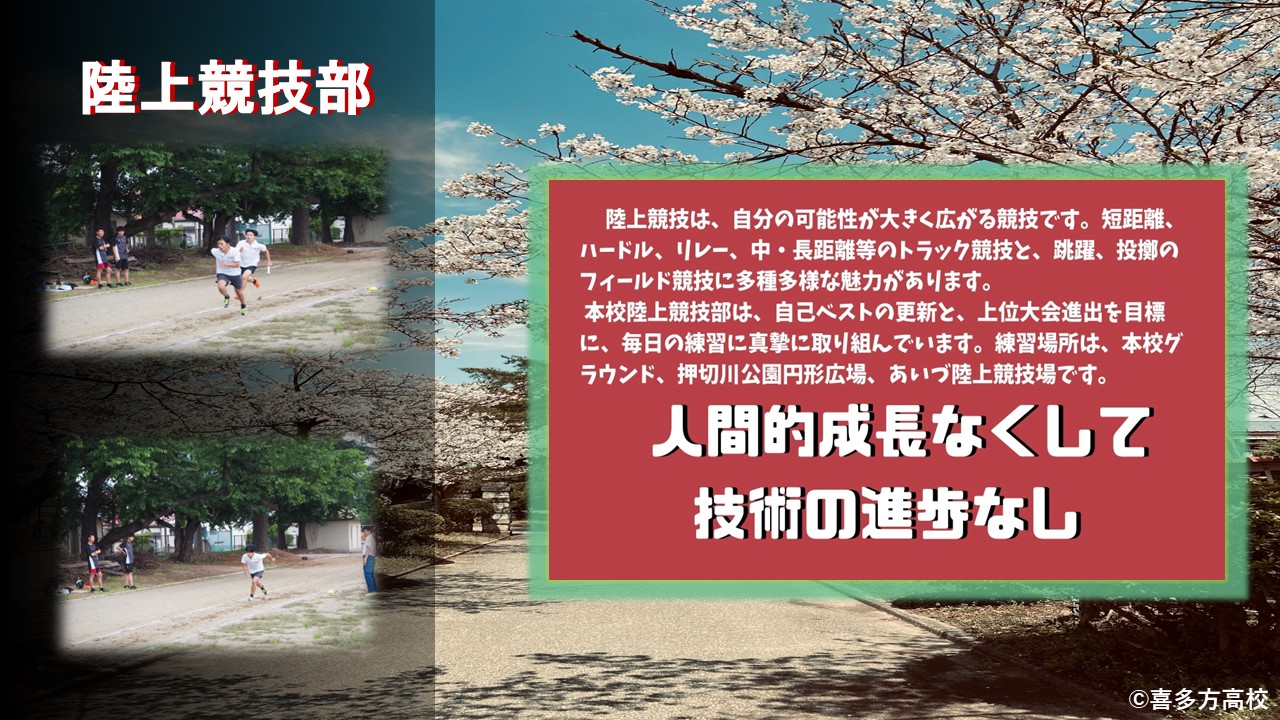 スライド11